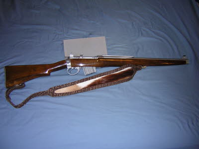 Lee-Enfield Custom